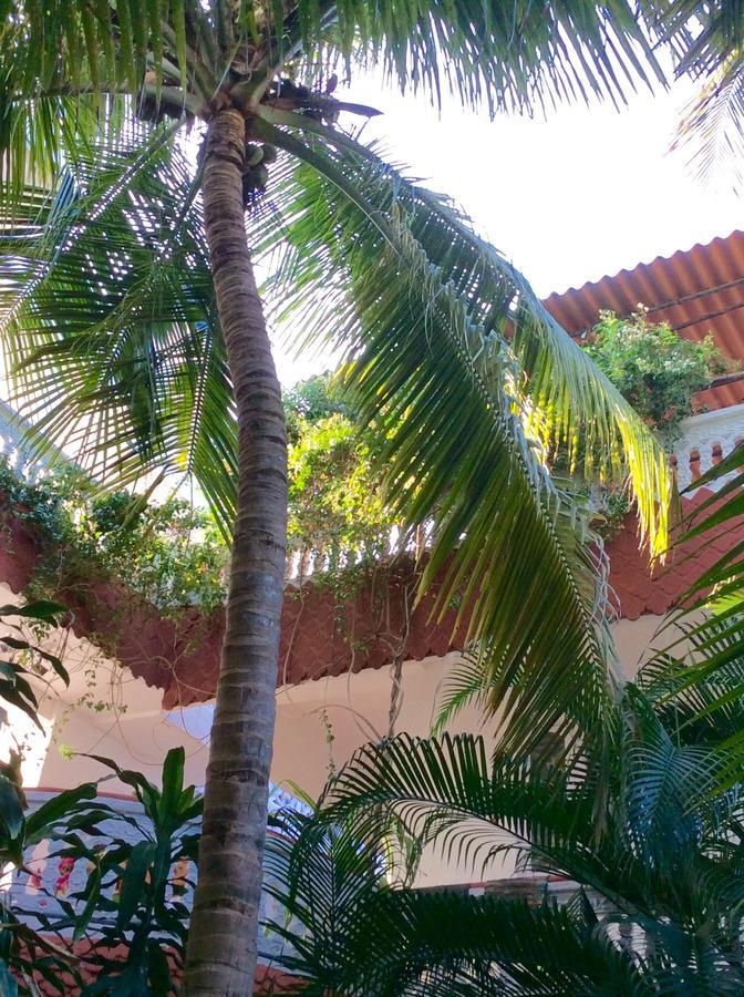 Daphne Hotel Mahabalipuram Eksteriør bilde
